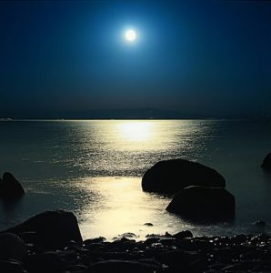 Kasumi Moon on Water Magic of Pearls Kasumi Moonglow