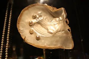 What Makes Pearls Precious? 7 South Sea Pearl - Why are pearls precious